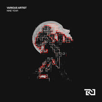 Various Artists — Nine Year