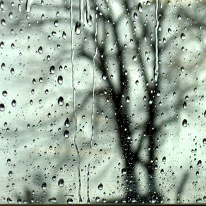 Flute In The Rain cover
