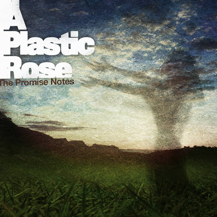 The Promise Notes A Plastic Rose