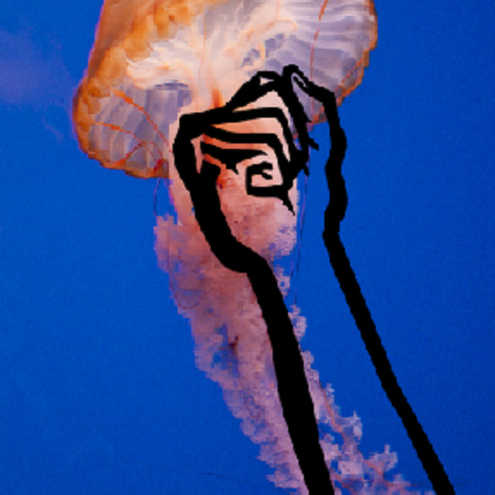 Predictions Jellyfish Punch