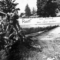 Root cover art