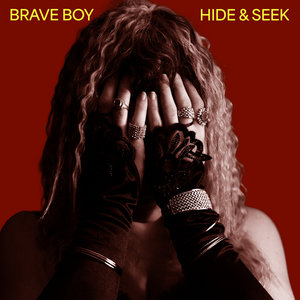 Hide and Seek cover