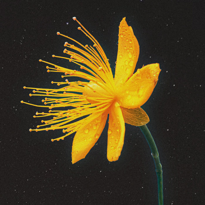 Tangerine Hill EP Voltaire AESTRIA