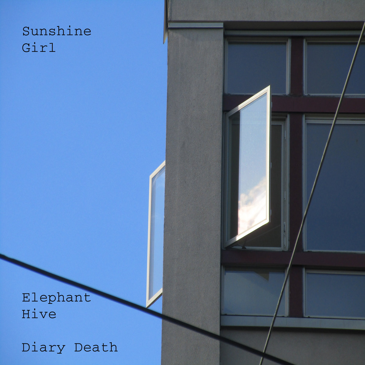 Elephant Hive cover