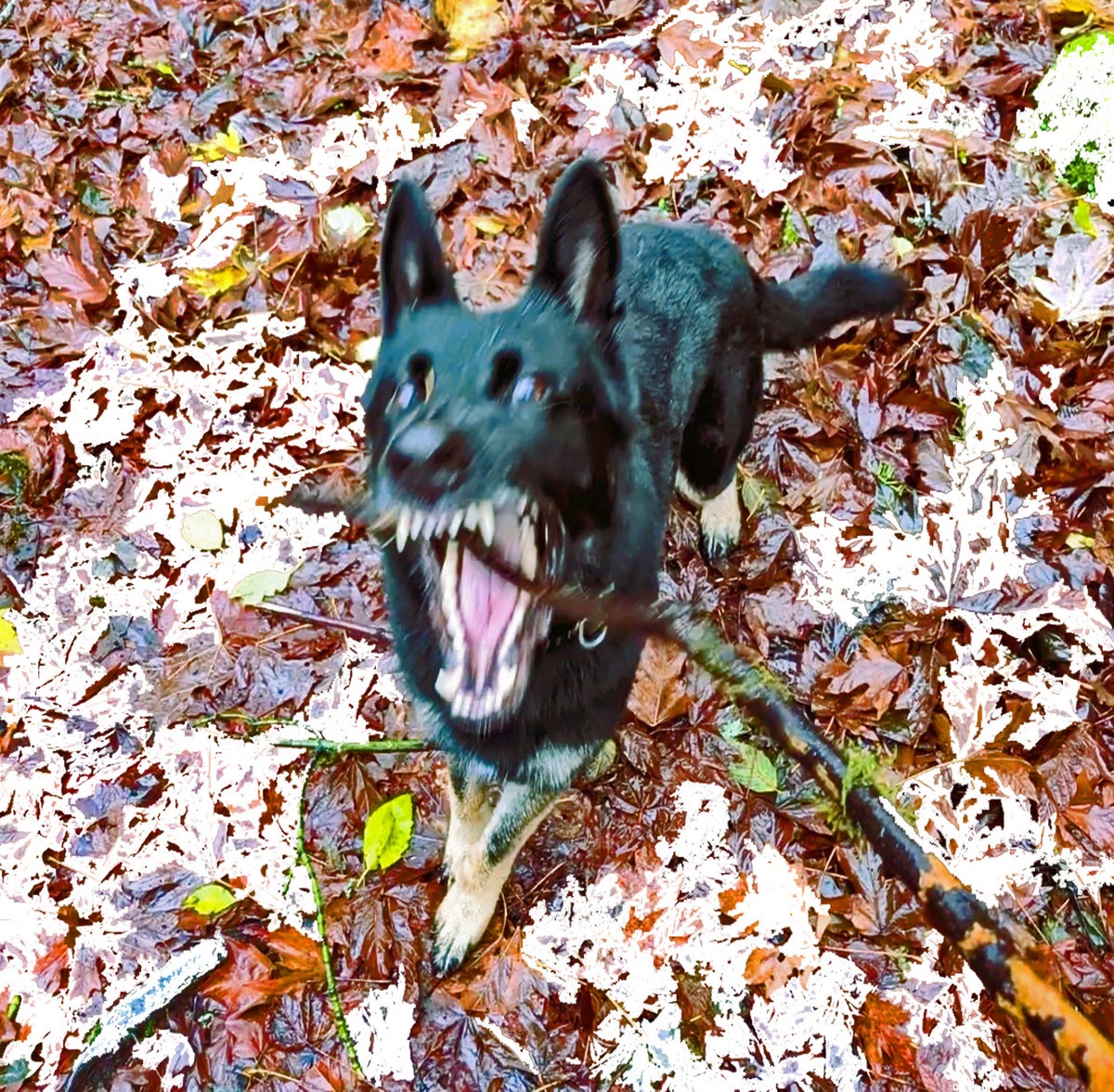 VAULT TRAX II cover