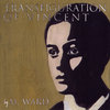 Transfiguration of Vincent Cover Art