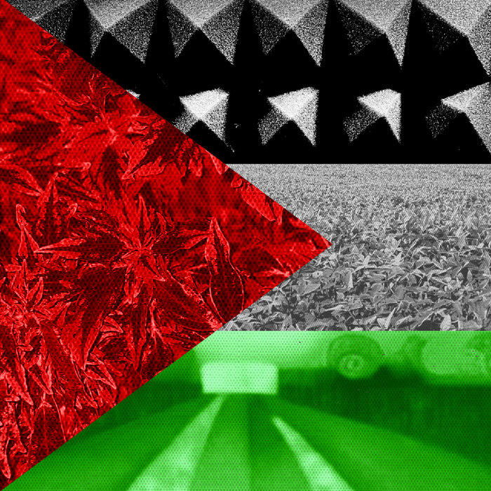 Please Donate to the Palestine Children's Relief Fund. | Various