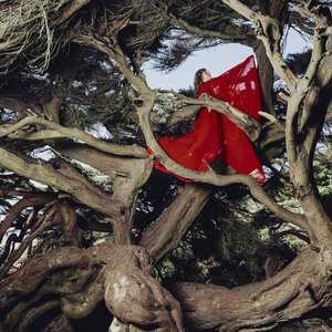 Nested in Tangles (Deluxe) cover