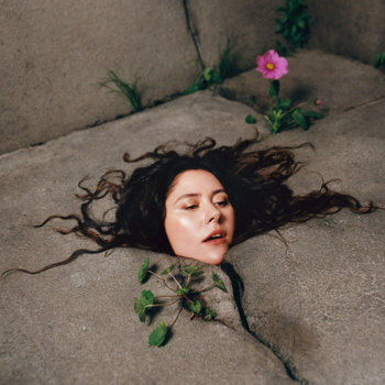 Album artwork for The Darkening Green
