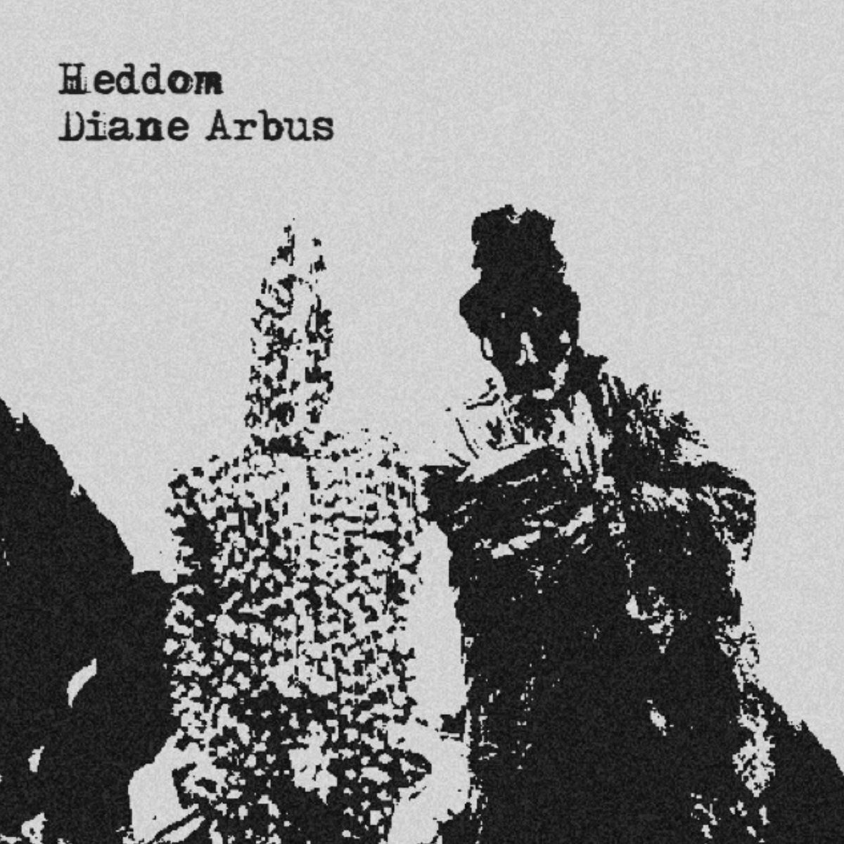 アート・デザイン・音楽 DIANE ARBUS  REVELATIONS Diane Arbus: Revelations | Diane Arbus