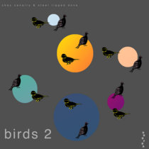 birds 2 cover art