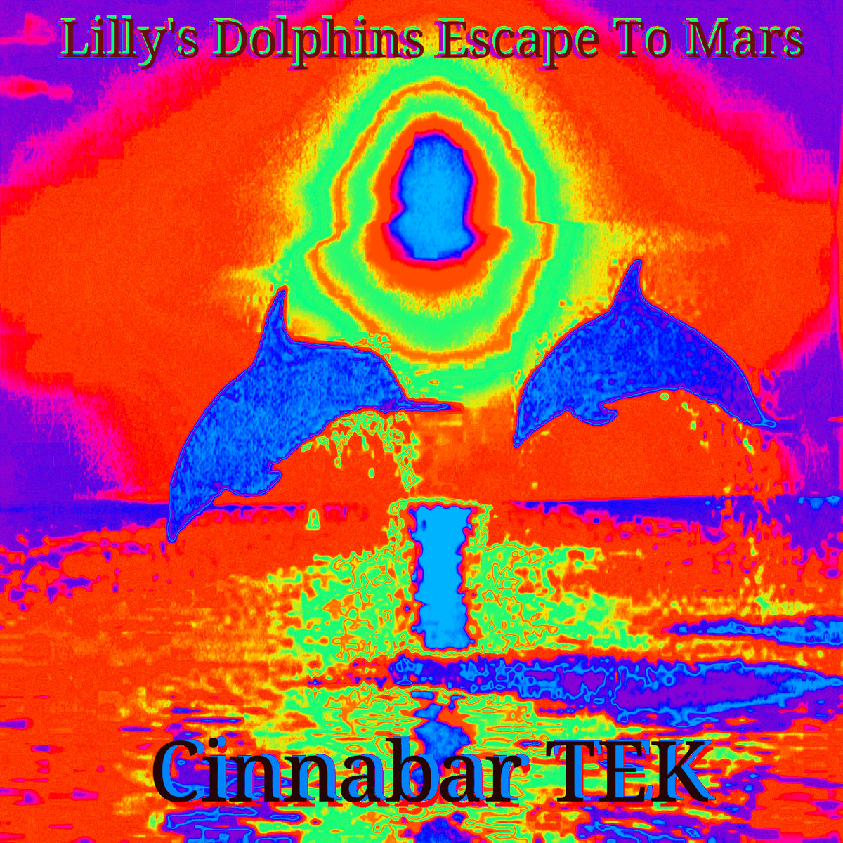 Lilly's Dolphins Escape To Mars cover