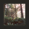 haleyheynderickx.bandcamp.com