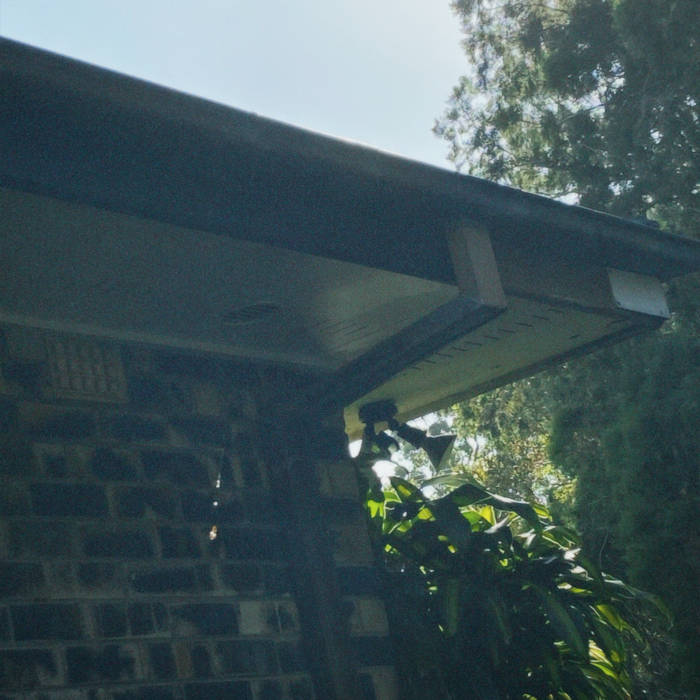 Zam - Say goodbye album artwork