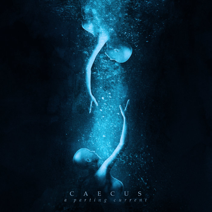 Caecus — Photo