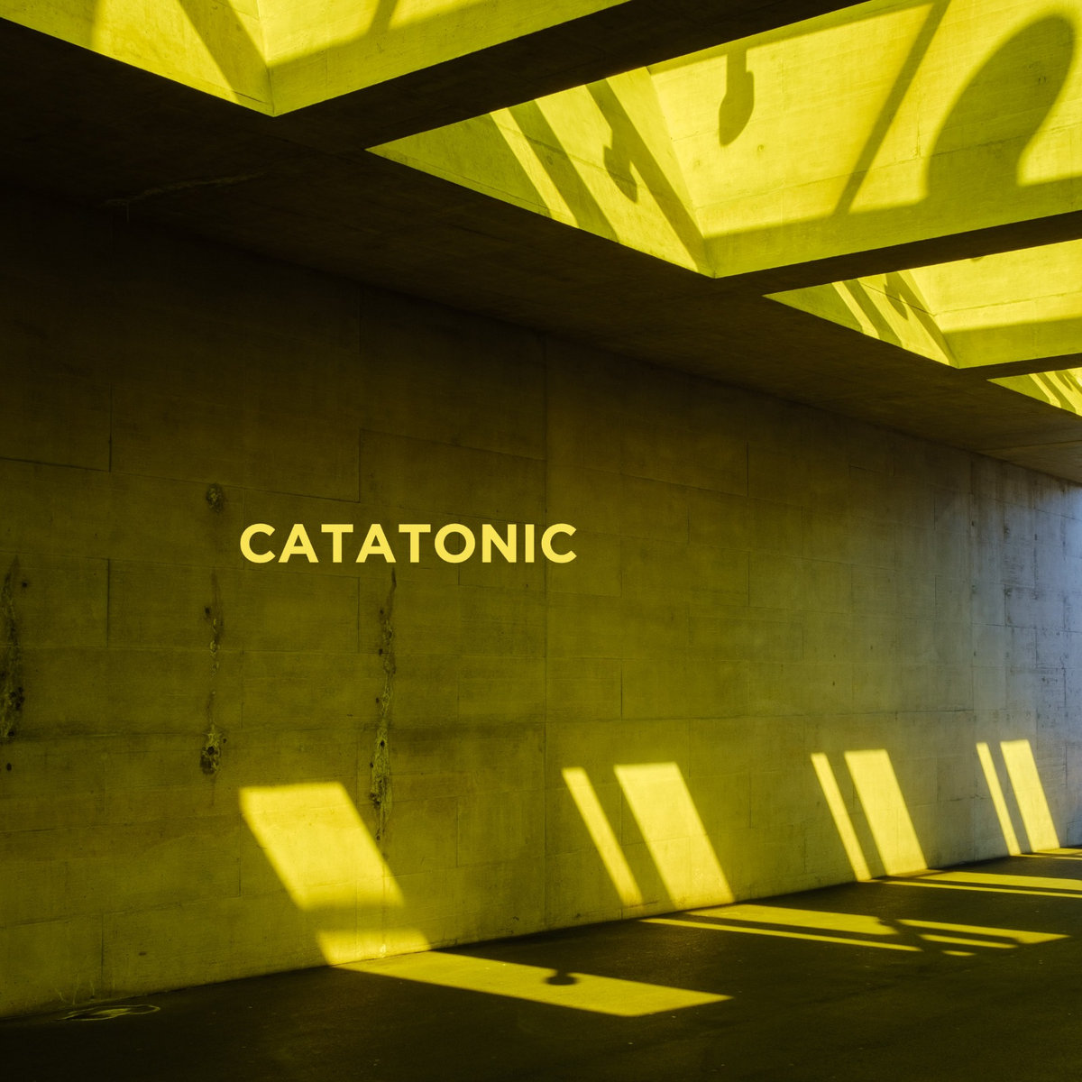 catatonic-concrete-cats