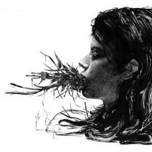 Parenthetical Girls — Entanglements