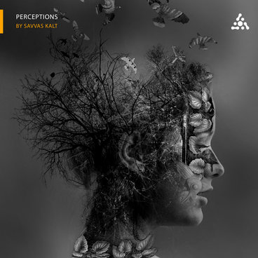 Perceptions main photo