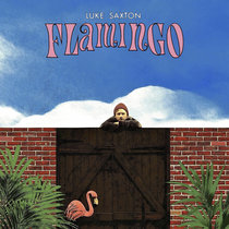 Flamingo 2023 cover art