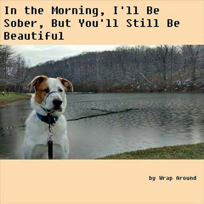 In the Morning, I'll Be Sober, But You'll Still Be Beautiful | Wrap Around
