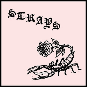 Strays cover