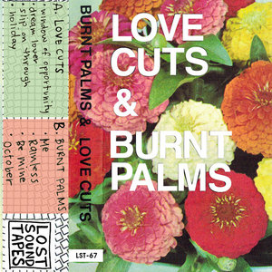 Lost Sound Tapes - Burnt Palms / Love Cuts - Split cover