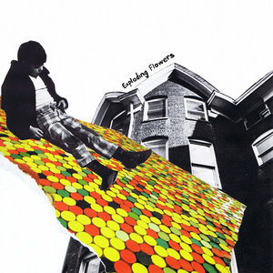 Exploding Flowers cover