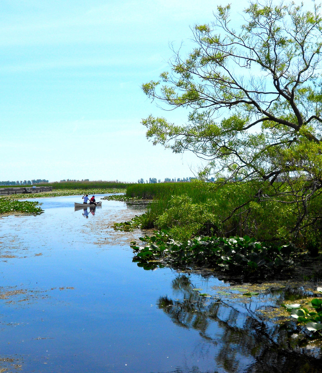 What We Need Robert Thibert