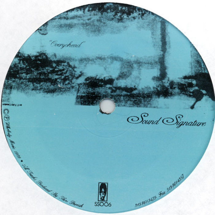 Overyohead | Theo Parrish