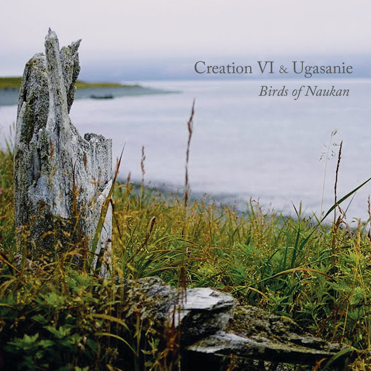 Birds of Naukan | Creation VI & Ugasanie | ZHELEZOBETON