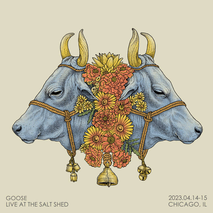 Live at the Salt Shed