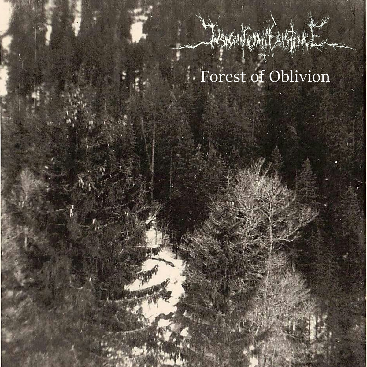 insignificant existence forest of oblivion dsbm black metal atmosphérique le scribe du rock