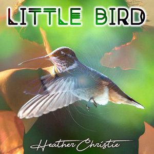 Little Bird cover