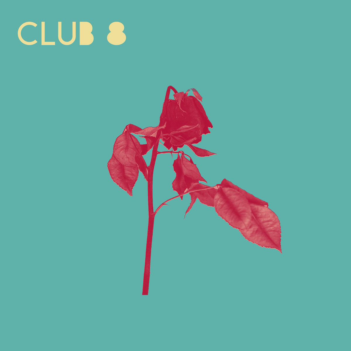 Seasonal Echoes | Club 8