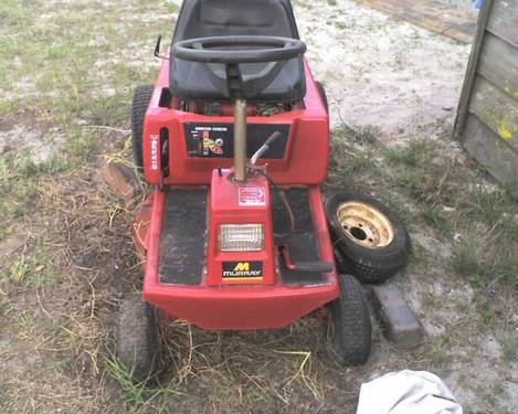 Ol' Red Snapper | Cindy Rines