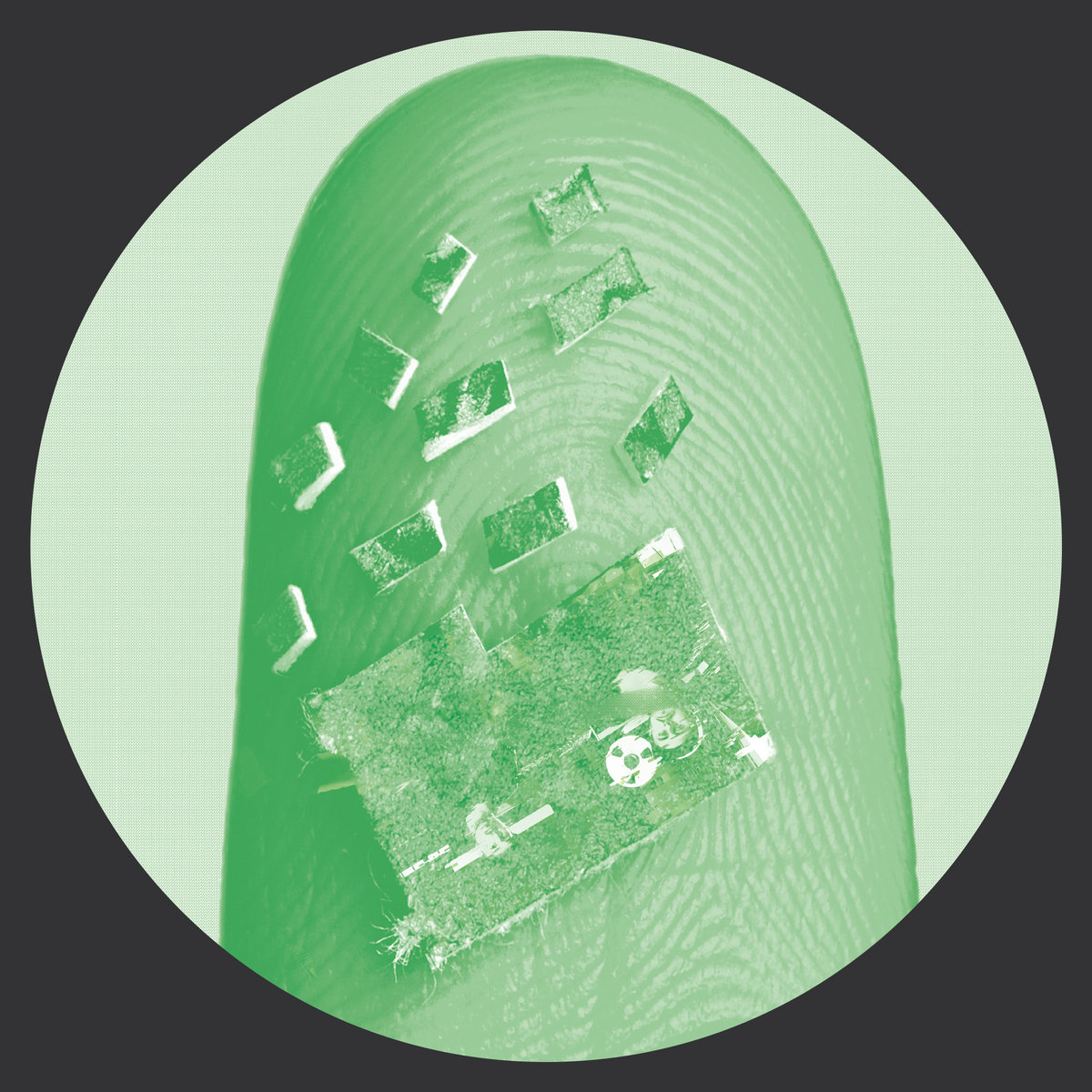 Spirituela
                
                
                Caim