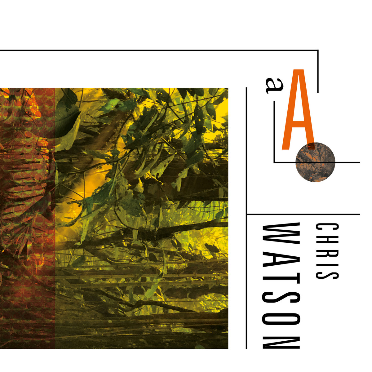 Notes From The Forest Floor | Chris Watson | SN Variations