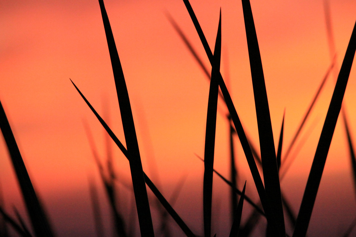 Fall 2017 Intro to Music Technology Alexandrea Mertz