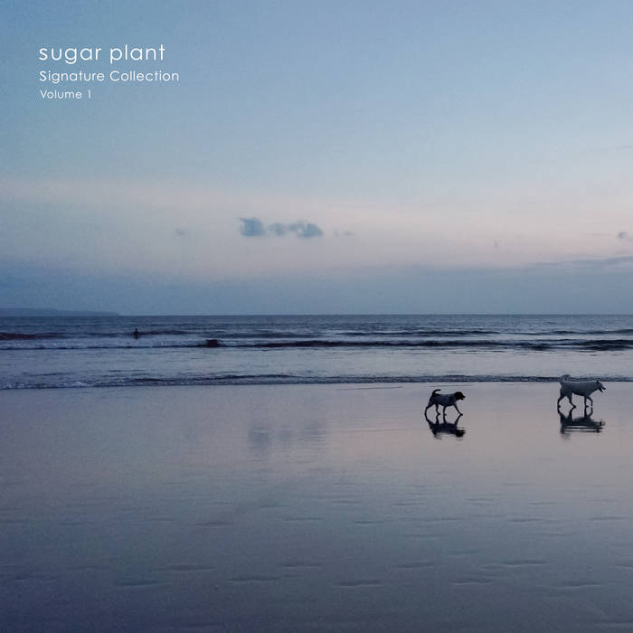 Signature Collection Volume.1 | sugar plant | KiliKiliVilla