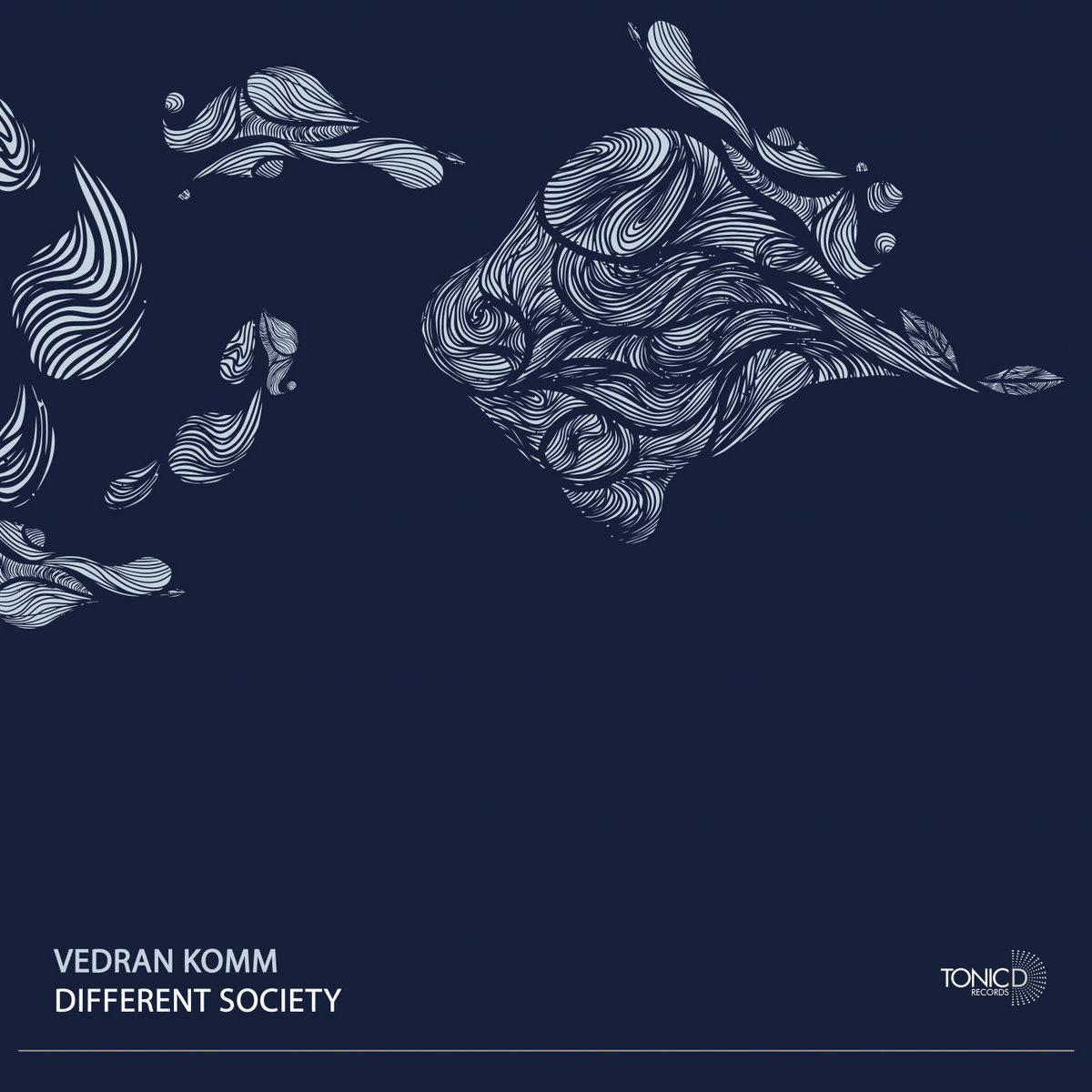 TDR158: Vedran Komm - Different Society