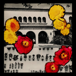 Parti cover