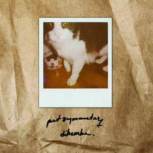 Pet Symmetry/Dikembe cover