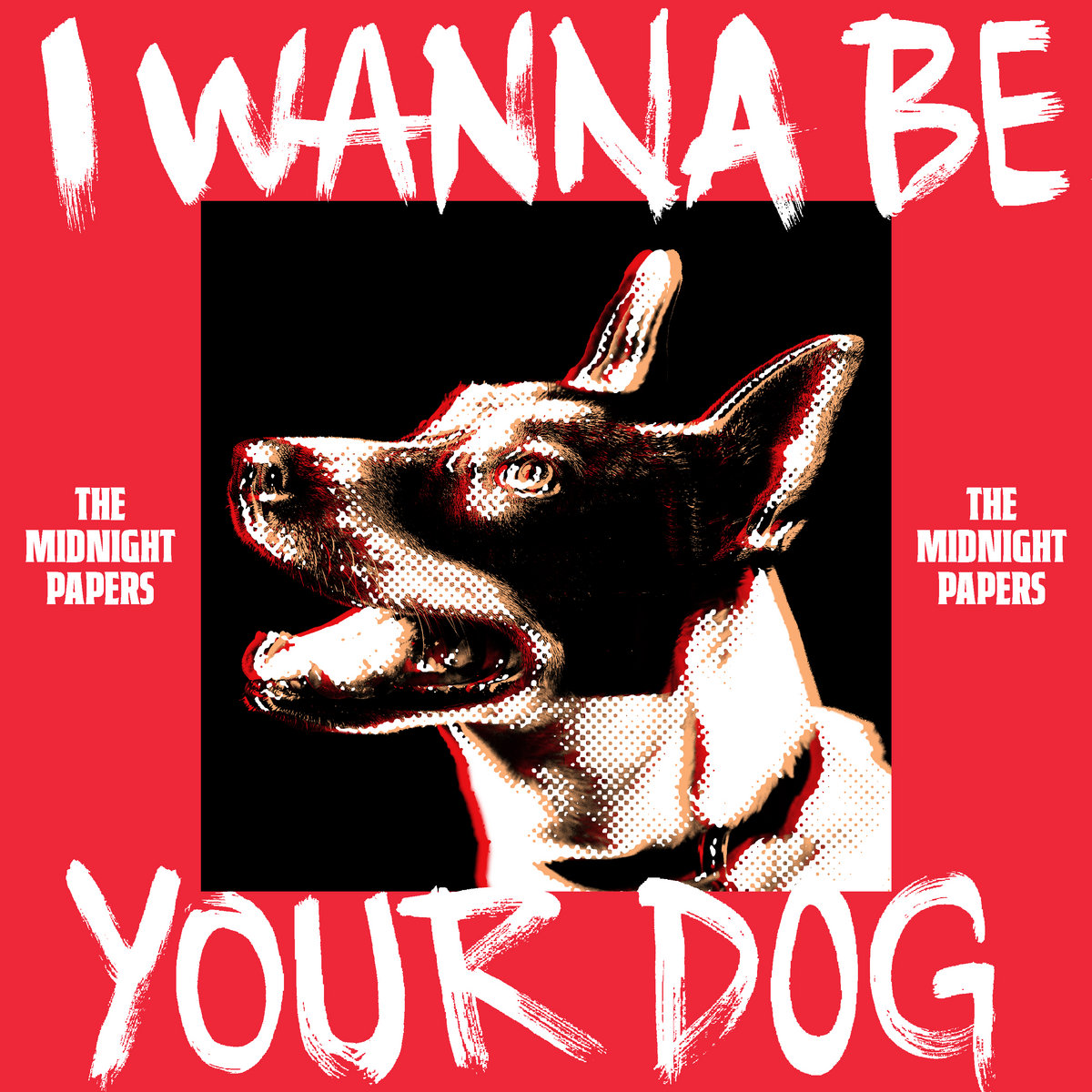 I Wanna Be Your Dog | The Midnight Papers