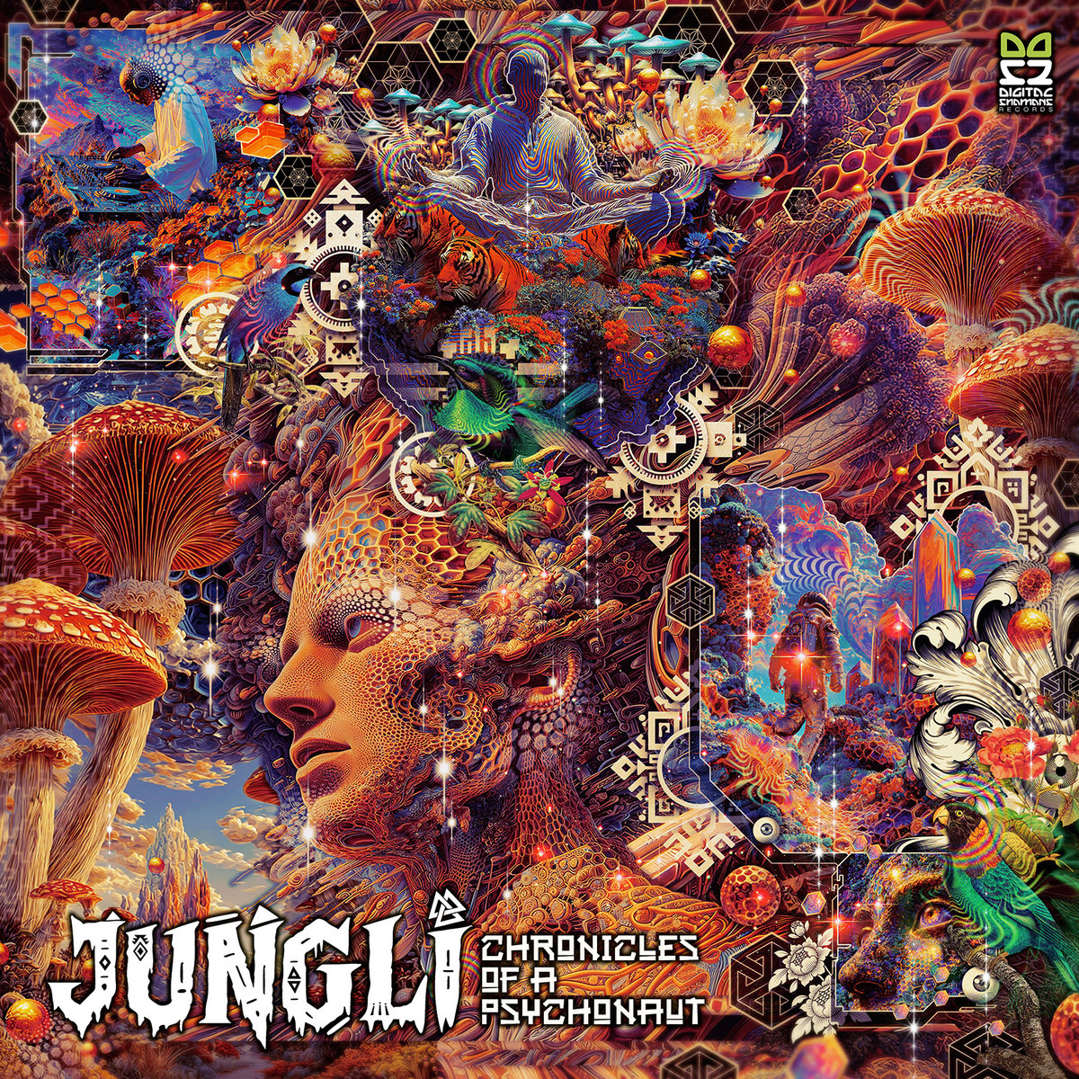 VA - IN YUN - Compiled By Mr.Garden | Digital Shamans Records