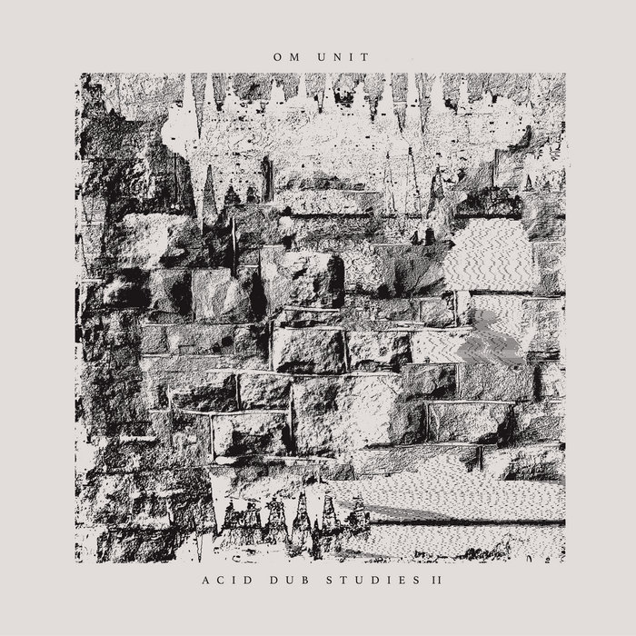 Acid Dub Studies II (LP), by Om Unit