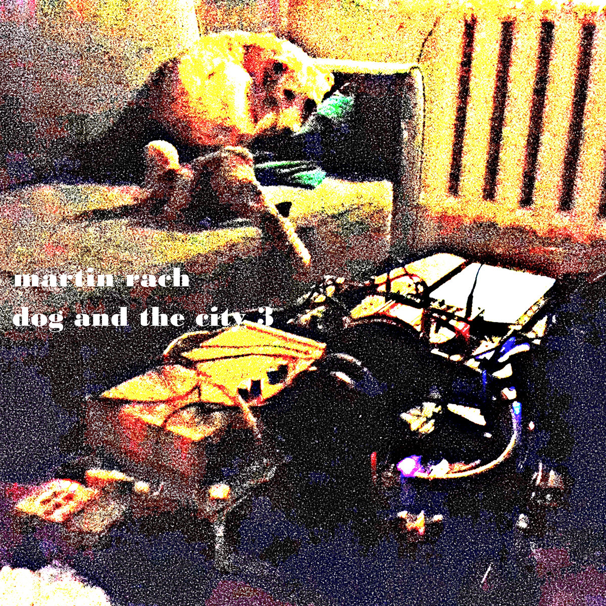 Martin Rach – Dog and the City 3