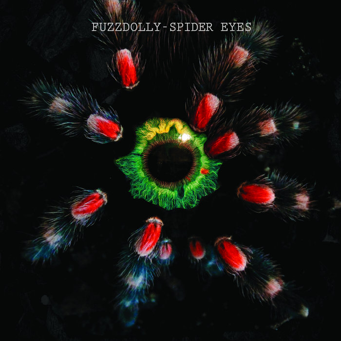 Spider Eyes | Fuzzdolly
