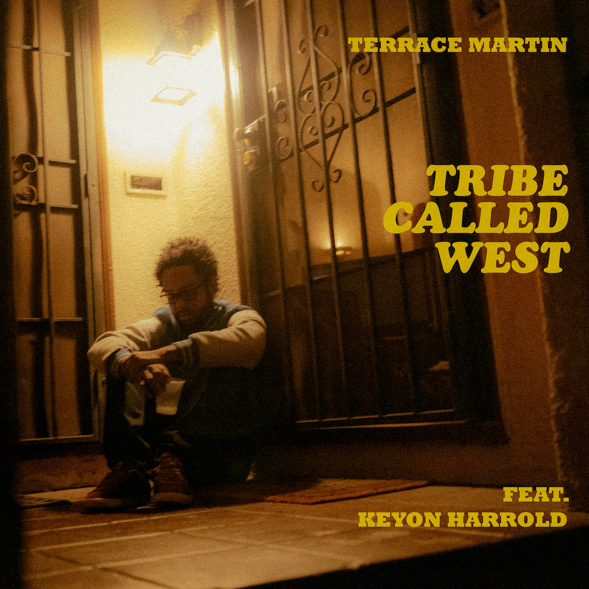 洋楽 Terrace Martin - velvet portraits Velvet Portraits - Album by Terrace Martin | Spotify