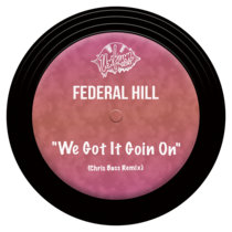 Federall Hill - We Got It Going On - Chris Bass Rmx cover art
