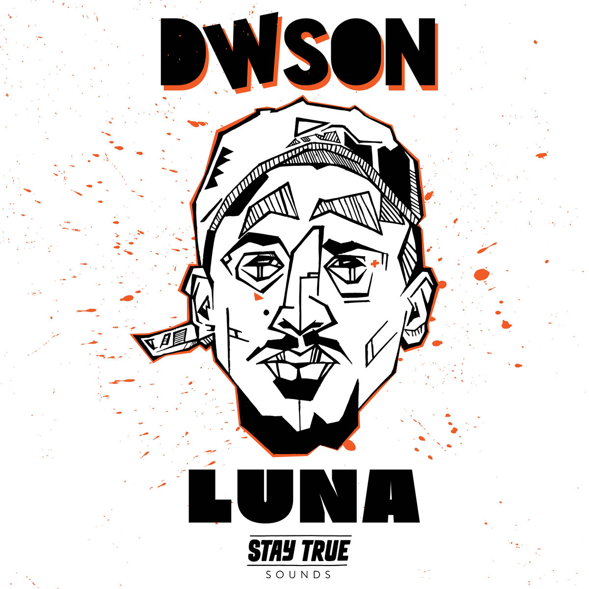 dwson luigi stay true